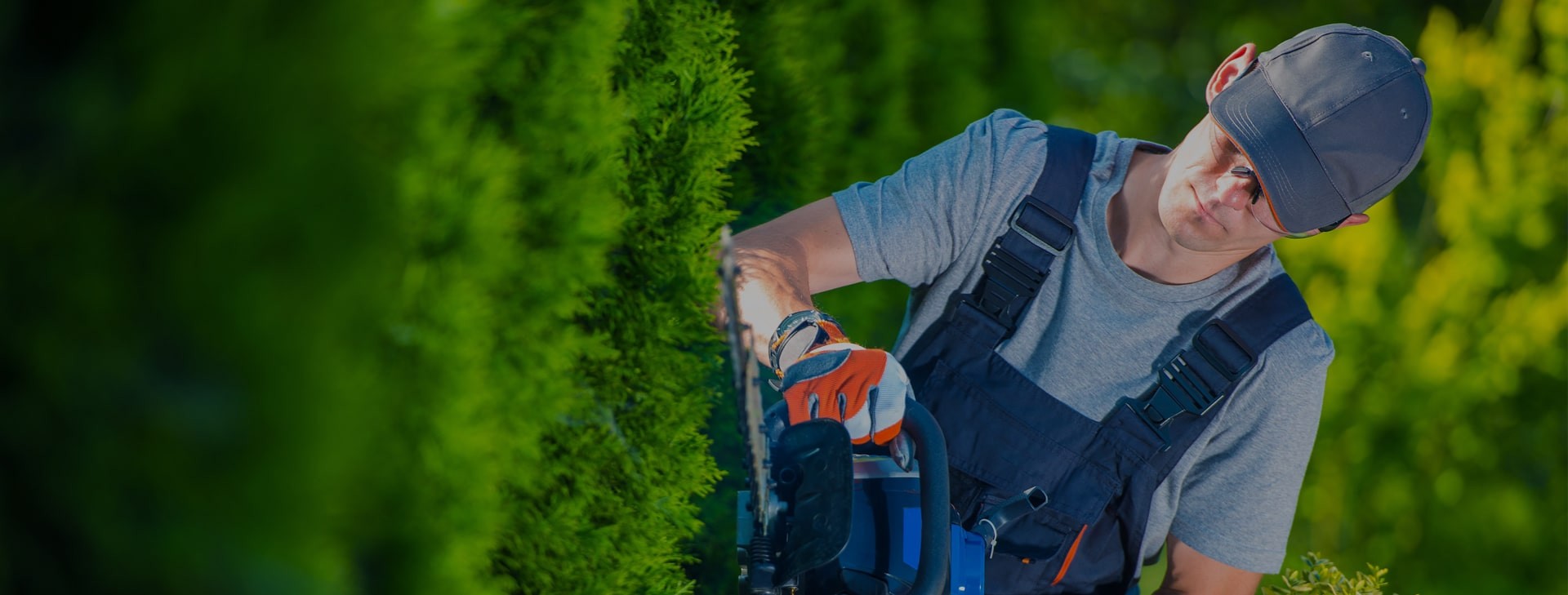 Your lawn and landscape<br />
the way that it should
