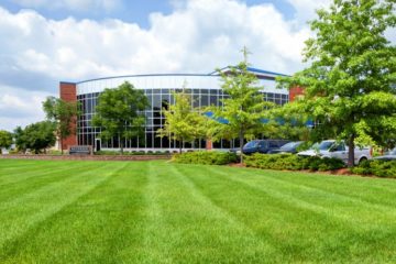 Property & Lawn Maintenance